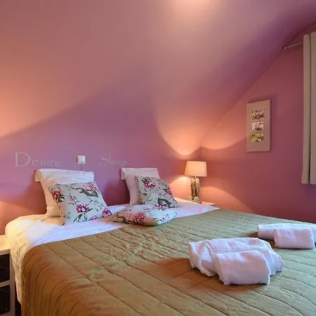 Tatil Evi Le Point De Vue *